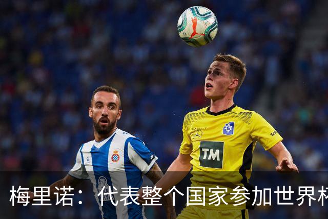 梅里诺：代表整个国家参加世界杯是一种荣耀，这真的是梦想成真